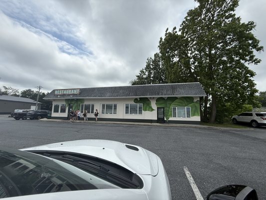 The Backyard by null