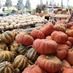 Green Acres Nursery & Supply