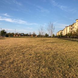 Great dog park. Great dog park.