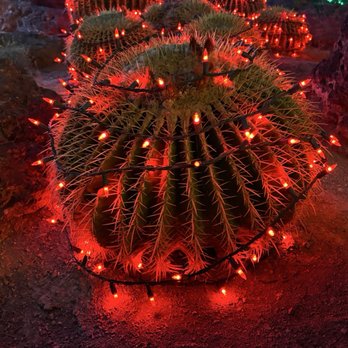 Ethel M Chocolates - Botanical Gardens Near Me - Henderson, Nevada