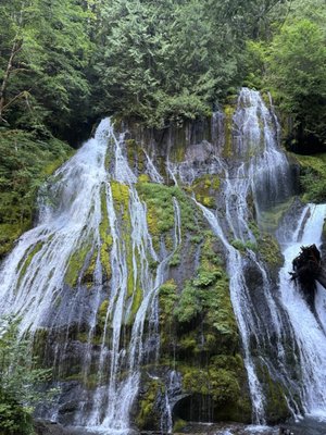 Panther Creek Falls by null