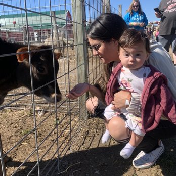 Blake's Orchard & Cider Mill - Baby cow - Fruits & Veggies Near Me - Armada, Michigan Blake's Orchard & Cider Mill - Baby cow - Fruits & Veggies Near Me - Armada, Michigan