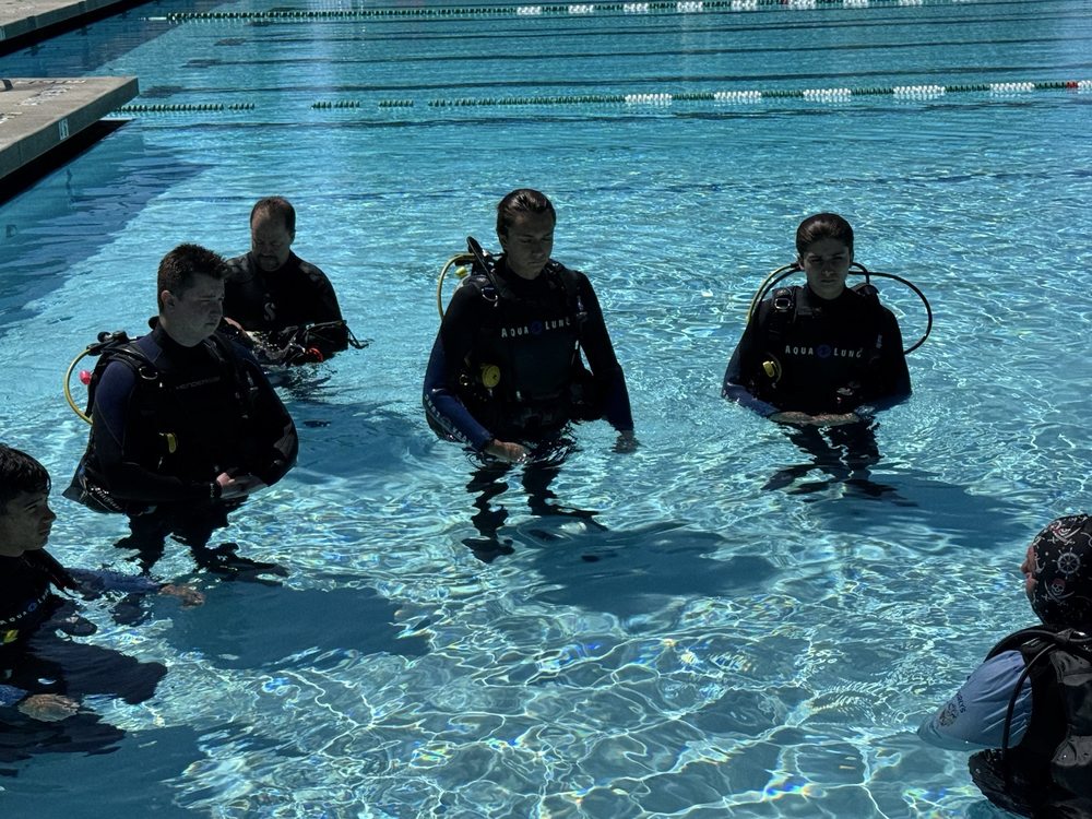 Social spots from Sharky's Scuba & Swim