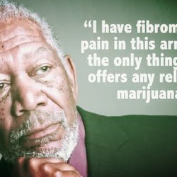 MariJmd