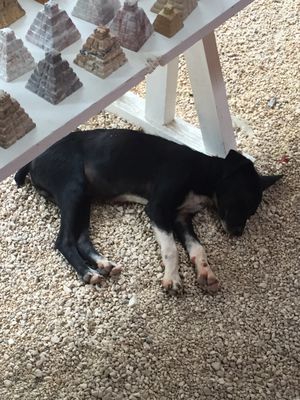 Cenote Suytun by null