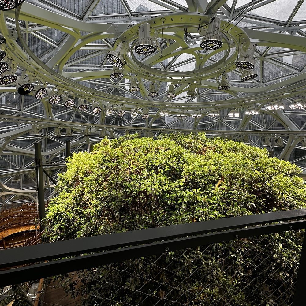 Amazon Spheres - Botanical Gardens Near Me - Seattle, Washington