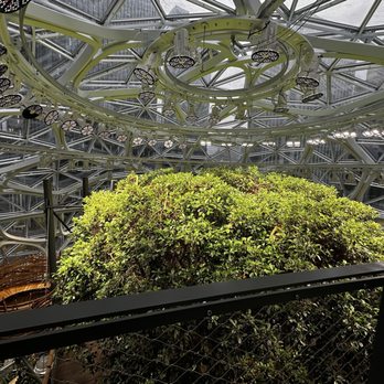 Amazon Spheres - Botanical Gardens Near Me - Seattle, Washington Amazon Spheres - Botanical Gardens Near Me - Seattle, Washington