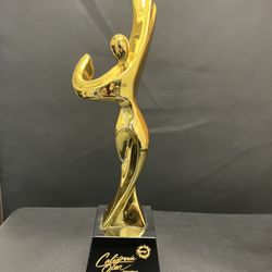 Dance North County - Top teacher award