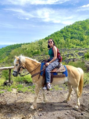 Vesuvius National Park by null