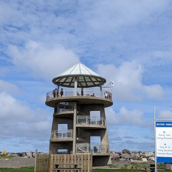 Westhaven State Park - Parks Near Me - Westport, Washington Westhaven State Park - Parks Near Me - Westport, Washington