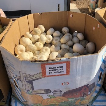 Rodin Farms - Farmers Market Near Me - Modesto, California Rodin Farms - Farmers Market Near Me - Modesto, California