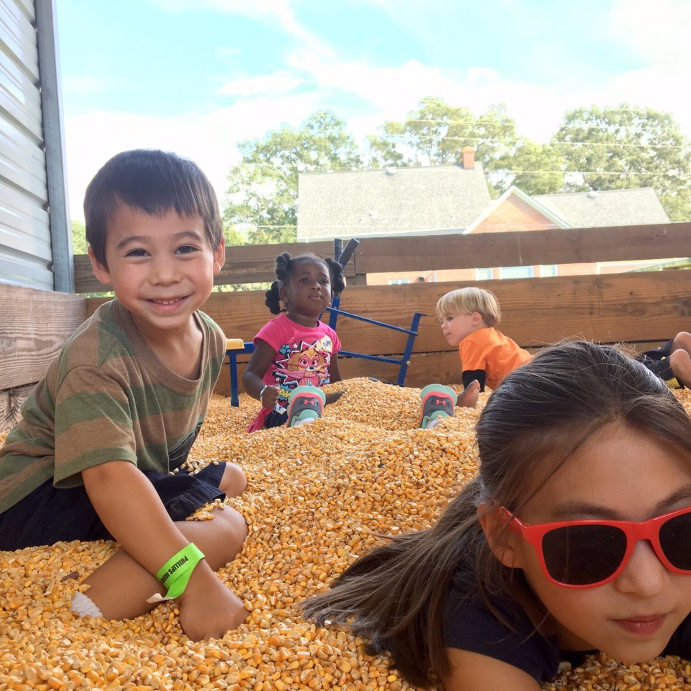 Phillips Farms - Kids love the corn box - Farmers Market Near Me - Cary, North Carolina Phillips Farms - Kids love the corn box - Farmers Market Near Me - Cary, North Carolina
