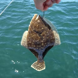 Freeport Boatmen's Association Inc - Fluke