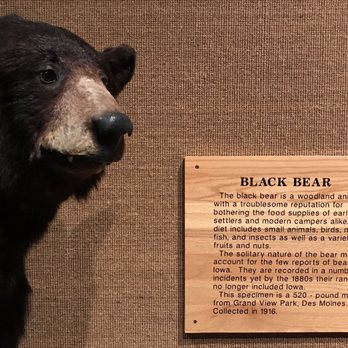State Historical Museum - Landmarks & Historical Buildings Near Me - Des Moines, Iowa