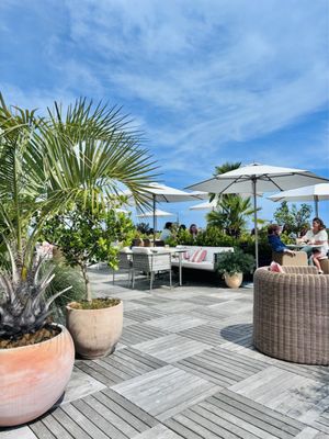 Citrus Club by null