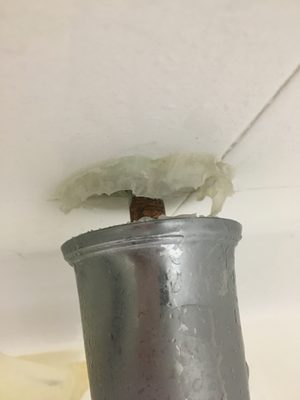 The Huntington by null