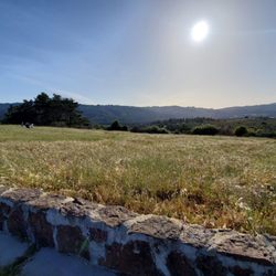 Vista Point - Views