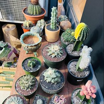 MiMi Nursery - Nurseries & Gardening Near Me - Garden Grove, California MiMi Nursery - Nurseries & Gardening Near Me - Garden Grove, California
