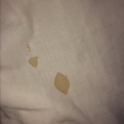 Flamingo Motel - Bloodstain found on sheet.