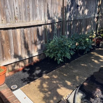 Sterling Tree Care & Gardening - side of back yard after complete - Tree Services Near Me Sterling Tree Care & Gardening - side of back yard after complete - Tree Services Near Me