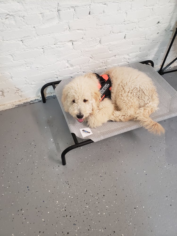 Lone Star Animal House - pet boarding facility in Saginaw, TX