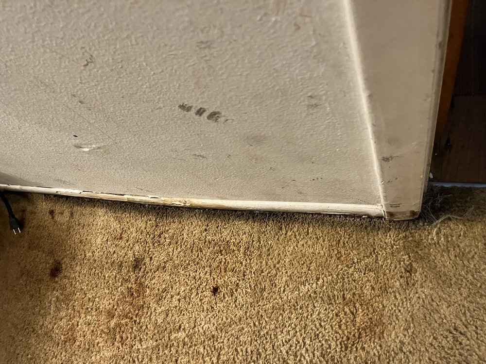 PARADISE CAY APARTMENTS Updated October 2024 18 Photos 1900 Post