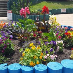 Salmon Arm Water Slides - Flowers