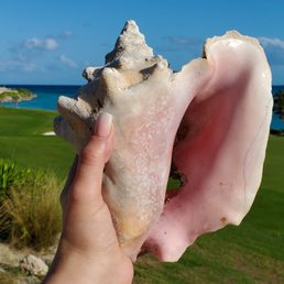 My beautiful elopement nails! They totally matched the Bahamian conch shells!! My beautiful elopement nails! They totally matched the Bahamian conch shells!!