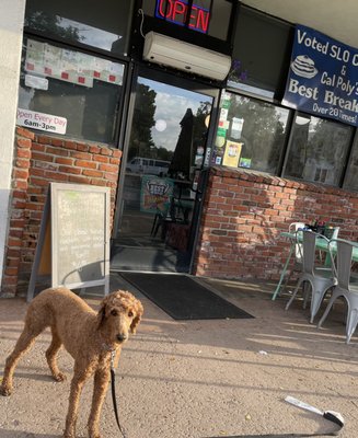 Louisa's Place by null