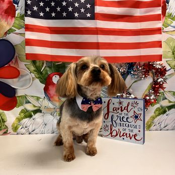 Pup E Cutz - Pet Groomers Near Me - Pompano Beach, Florida