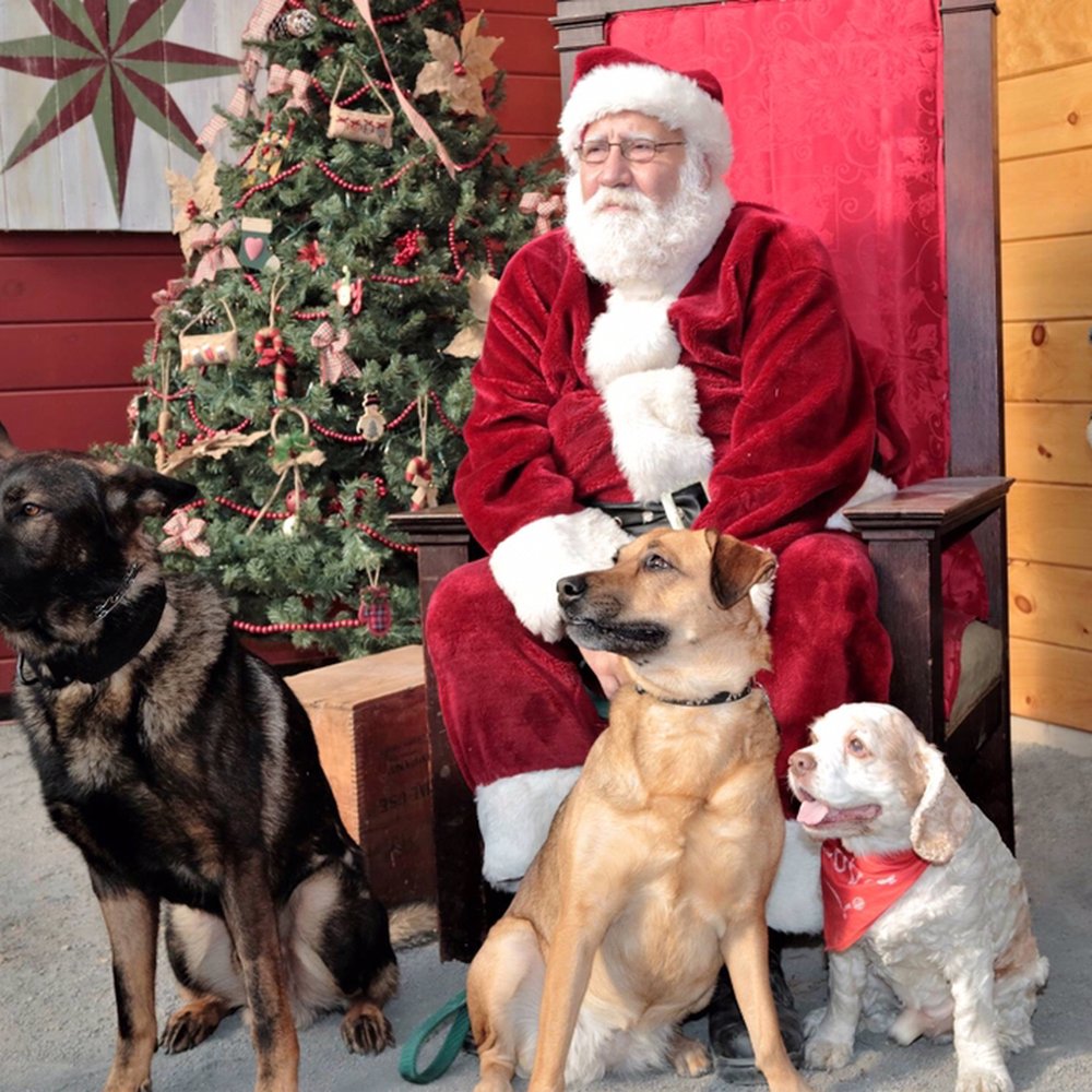 Top 10 Best Christmas Tree Farm In North Providence, Ri - April 2023 - Yelp