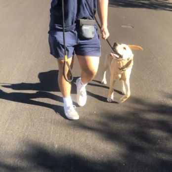 209 K9 Chelle - This handler is learning how to teach his 1st young pup how to walk nicely beside him - Pet Training Near Me 209 K9 Chelle - This handler is learning how to teach his 1st young pup how to walk nicely beside him - Pet Training Near Me