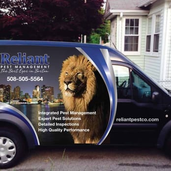 Reliant Pest Management - Reliantpestco.com. Bed bug specialist. Bed bug inspections and removal. The best eyes in Boston! - Pest Control Near Me - Quincy, Massachusetts Reliant Pest Management - Reliantpestco.com. Bed bug specialist. Bed bug inspections and removal. The best eyes in Boston! - Pest Control Near Me - Quincy, Massachusetts