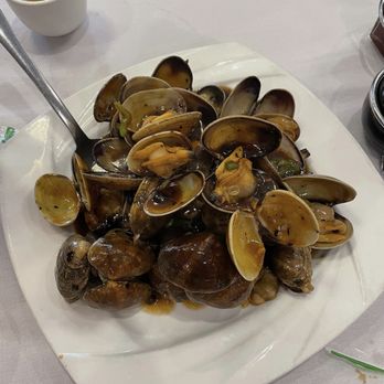 Ocean City - 99. Clams with Black Bean Sauce 豉汁花蜆 ($17.95) - Dim Sum Near Me - Philadelphia, Pennsylvania Ocean City - 99. Clams with Black Bean Sauce 豉汁花蜆 ($17.95) - Dim Sum Near Me - Philadelphia, Pennsylvania