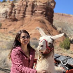 Wilderness Ridge Trail Llamas - Hugo smiling