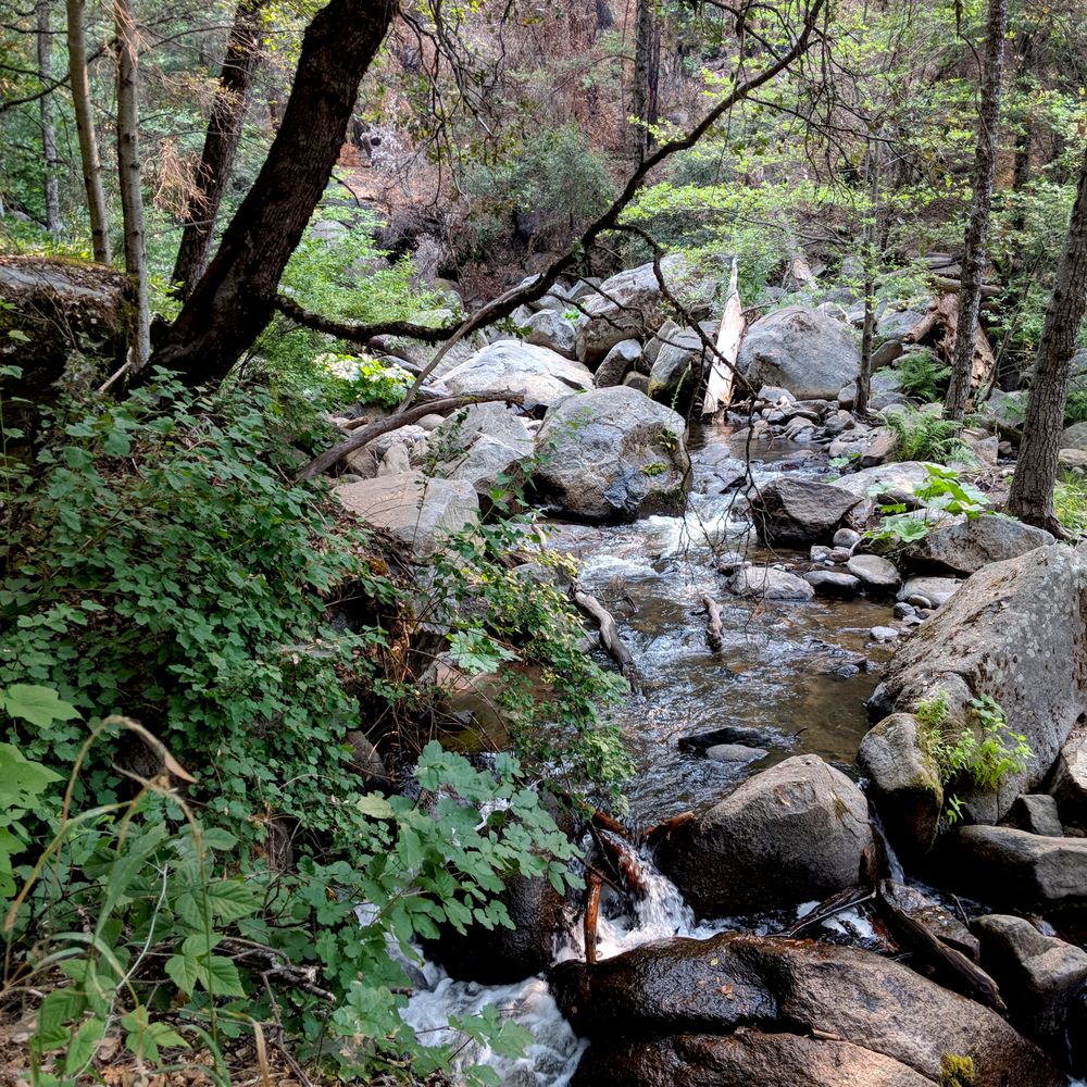 Lewis Creek Trail - Hiking Near Me Lewis Creek Trail - Hiking Near Me