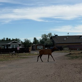 Grand Canyon Camper Village - Campgrounds Near Me - Tusayan, Arizona Grand Canyon Camper Village - Campgrounds Near Me - Tusayan, Arizona