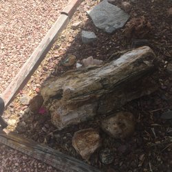 Art From God Rock Shop - Came from NM. Is 22 in long and dia of 12 in Checking if you would buy it.