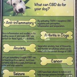 best low cost vet near me