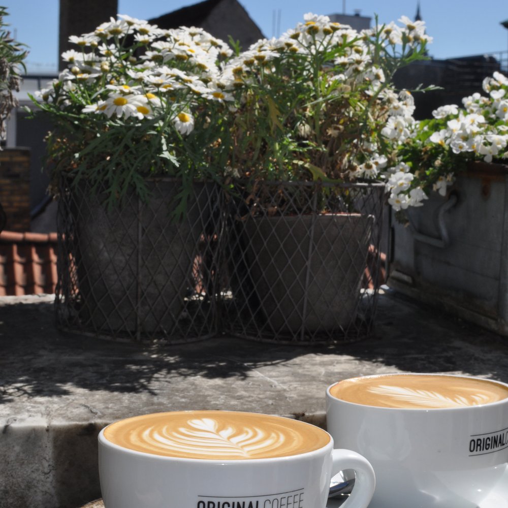 Original Coffee - Can not beat this spot for coffee - Original Coffee Illum's Rooftop - Coffee & Tea Near Me - København K, 81 Original Coffee - Can not beat this spot for coffee - Original Coffee Illum's Rooftop - Coffee & Tea Near Me - København K, 81