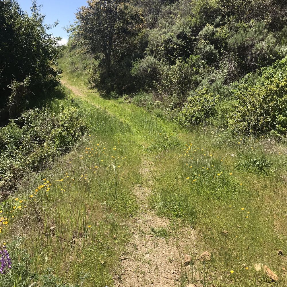 Julia Pfeiffer Burns State Park - Parks Near Me - Big Sur, California