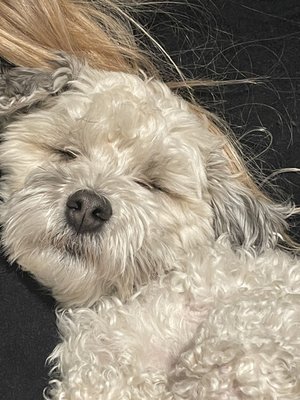 Aspen Recreation Center by null