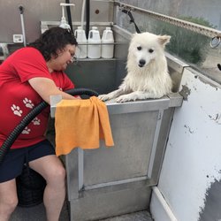 Jobs for dog grooming jobs near me in San Diego - Trabajo.org
