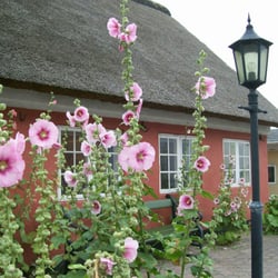 Fanø Turistbureau
