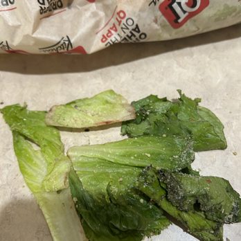 QuikTrip - Lettuce pray. This is dead. - Gas Stations Near Me - Parker, Colorado QuikTrip - Lettuce pray. This is dead. - Gas Stations Near Me - Parker, Colorado