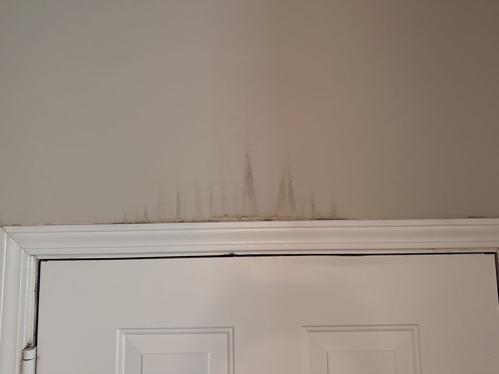 Colonnade At Eastern Shore Apartment Homes - property management company in Daphne, AL