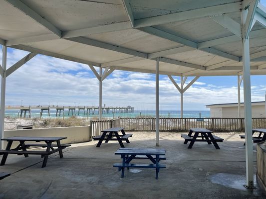 Gulfarium Marine Adventure Park by null