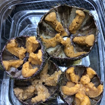 Seattle Fish Guys - Fresh uni - Seafood Markets Near Me - Seattle, Washington Seattle Fish Guys - Fresh uni - Seafood Markets Near Me - Seattle, Washington