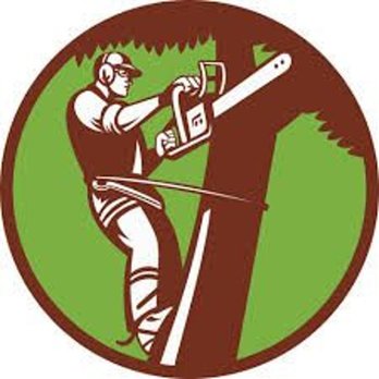 Anjoe Tree Service - Anjoe Tree Service Logo - Tree Services Near Me - Albany, New York