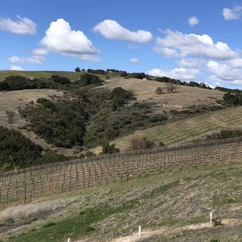 Calcareous Vineyard - Vineyard - Wine Tasting Room Near Me - Paso Robles, California Calcareous Vineyard - Vineyard - Wine Tasting Room Near Me - Paso Robles, California